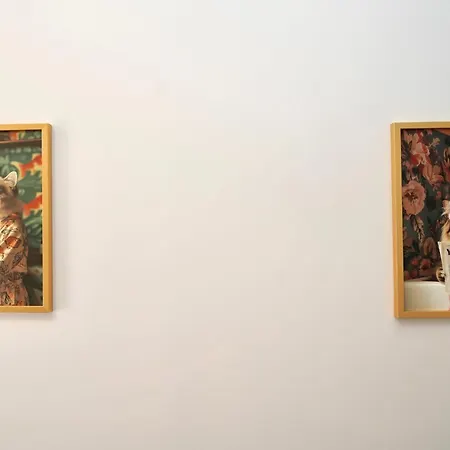 Mmrent Kitty Cat Gdańsk