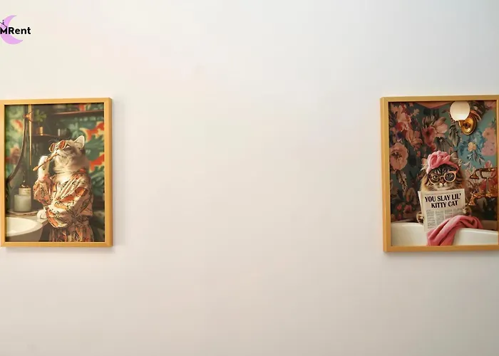 Mmrent Kitty Cat Gdańsk